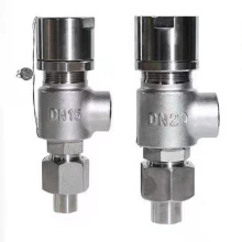 ss304 or ss316 male and female thread  pressure safety valve